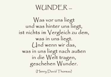 Wunder